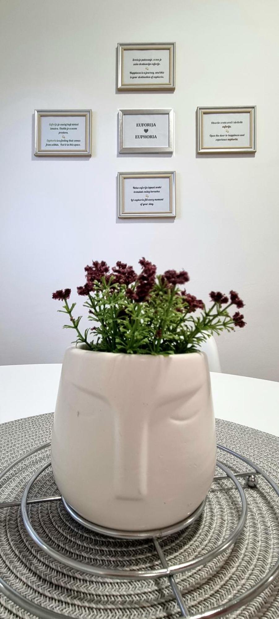 Euforia Apartment *